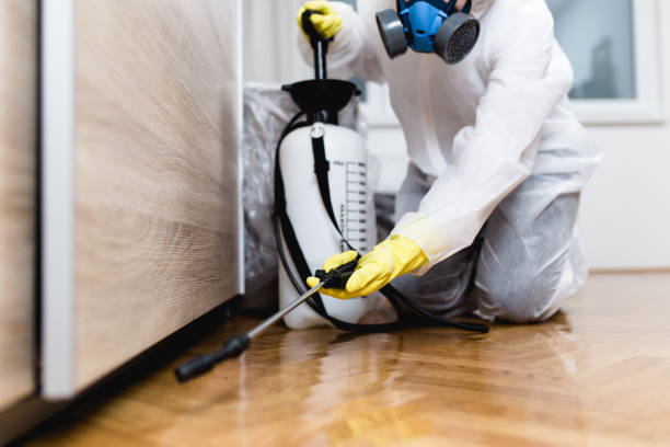 Best Emergency Pest Control  in Irwin, SC