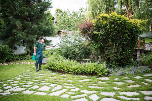 Professional Pest Control in Irwin, SC