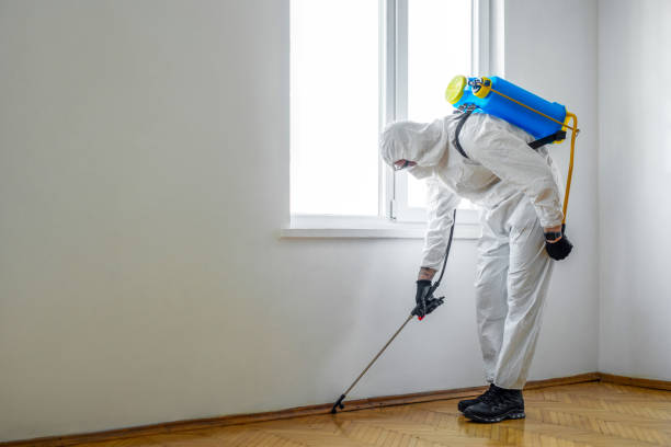 Best Commercial Pest Control Services  in Irwin, SC