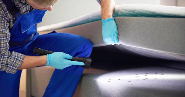 Trusted Irwin, SC Pest Control Experts