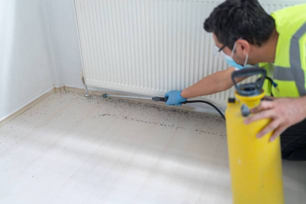 Best Mosquito Control Services  in Irwin, SC
