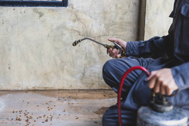 Best Pest Control Near Me  in Irwin, SC