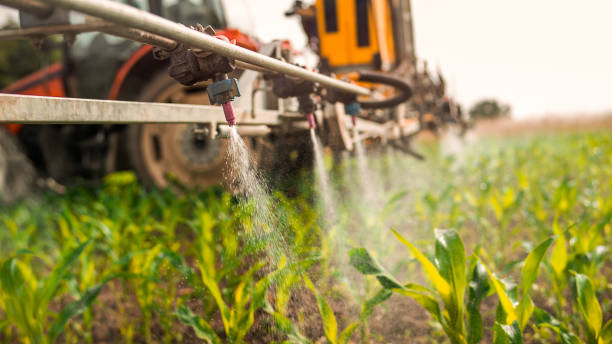 Best Pest Prevention Services  in Irwin, SC